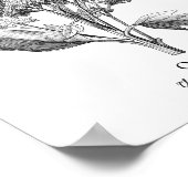 キノアヴィンテージ植物学イラストレーション ポスター (角)