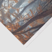 キノコお洒落の林道の切り離し 薄葉紙 (詳細)