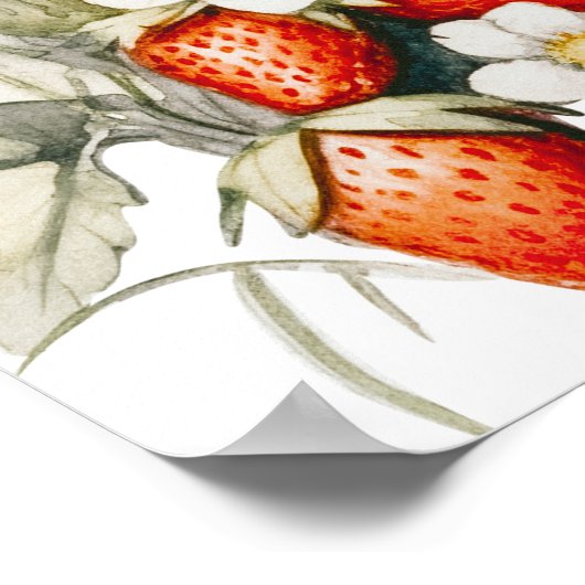 キノコとイチゴの誕生日ウェルカムサイン ポスター (角)