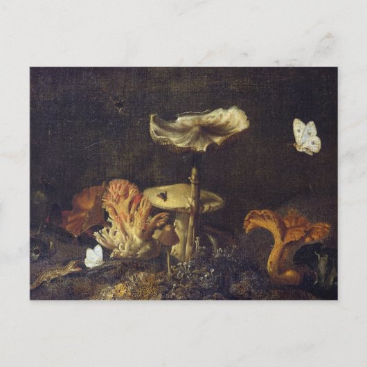 キノコと蝶との静物生活 ポストカード (正面)