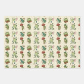 キノコのあるハコガエル  ラッピングペーパーシート (正面2)