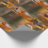 キノコのかわいい自然シーンの上にカタツムリ ラッピングペーパー (角)