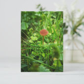 キノコのグリーティングカード カード (スタンド正面)