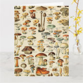 キノコのコレクション カード (黄色い花)