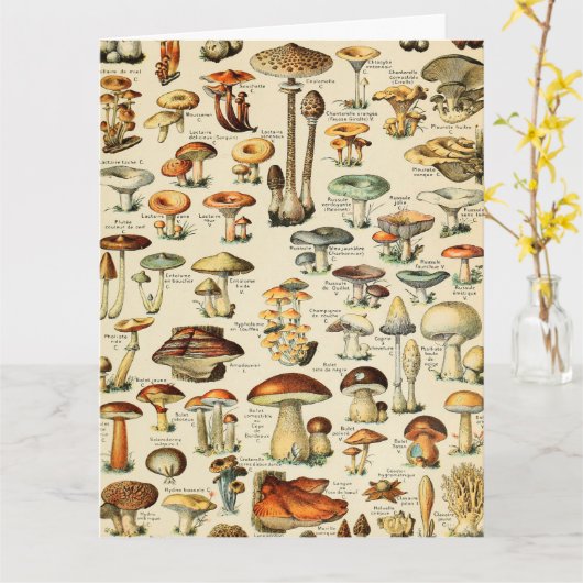 キノコのコレクション カード (黄色い花)