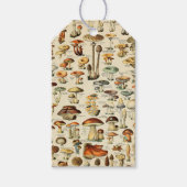 キノコのコレクション ギフトタグ (正面)