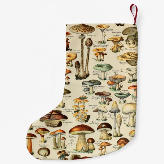 キノコのコレクション スモールクリスマスストッキング (裏面)