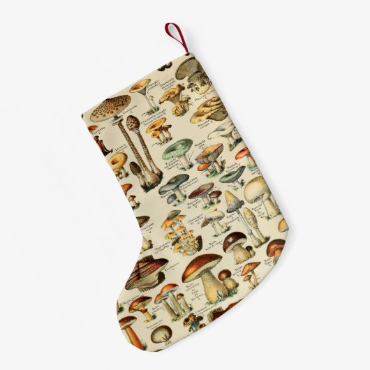キノコのコレクション スモールクリスマスストッキング (裏面 (吊り時))