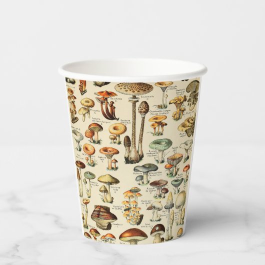 キノコのコレクション 紙コップ (裏面)