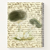 キノコのスケッチ色あせた文字動揺してボー ノートブック (裏面)