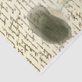 キノコのスケッチ色あせた文字動揺してボー 薄葉紙 (詳細)