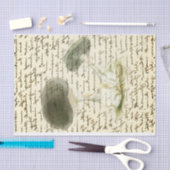 キノコのスケッチ色あせた文字動揺してボー 薄葉紙 (クラフト)