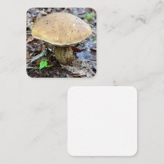 キノコのノートカード ノートカード (正面/裏面)