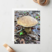 キノコのノートカード ノートカード (正面/裏面インサイチュ)