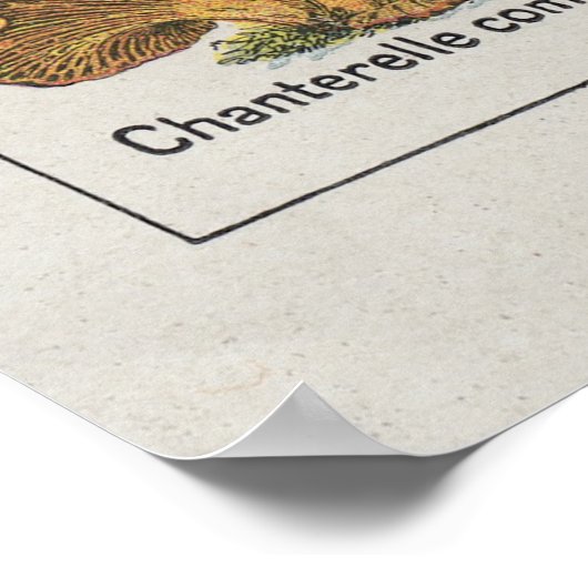 キノコのポスター ポスター (角)