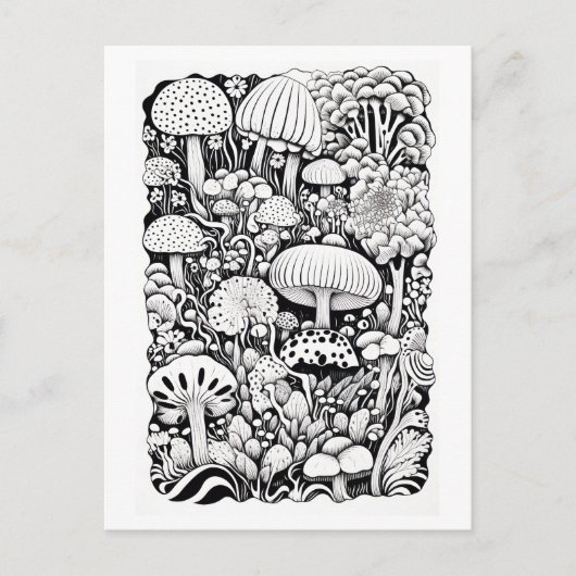 キノコのラインスケッチ（小） ポストカード (正面)