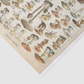 キノコのヴィンテージフランスの菌の分離コラージュ 薄葉紙 (詳細)