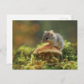 キノコの上に座る小さなネズミ ポストカード (正面/裏面)