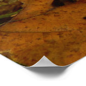 キノコの下げ柱 ポスター (角)