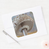 キノコの下面を閉じる スクエアシール (封筒)