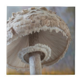 キノコの下 タイル (正面)