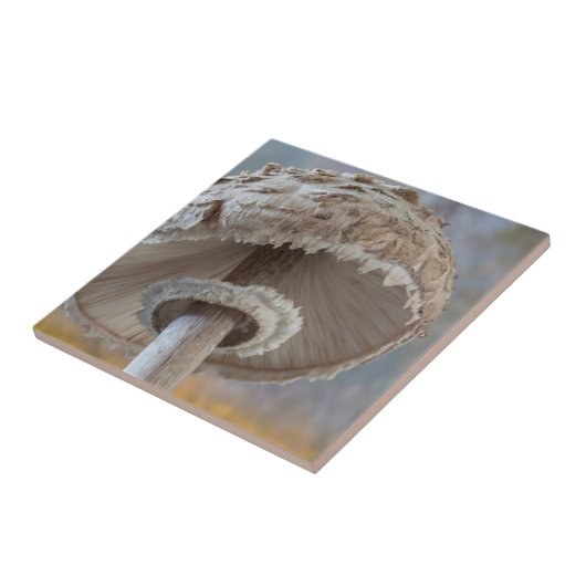 キノコの下 タイル (側面)