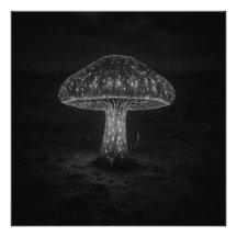 キノコの光 - 写真プリント