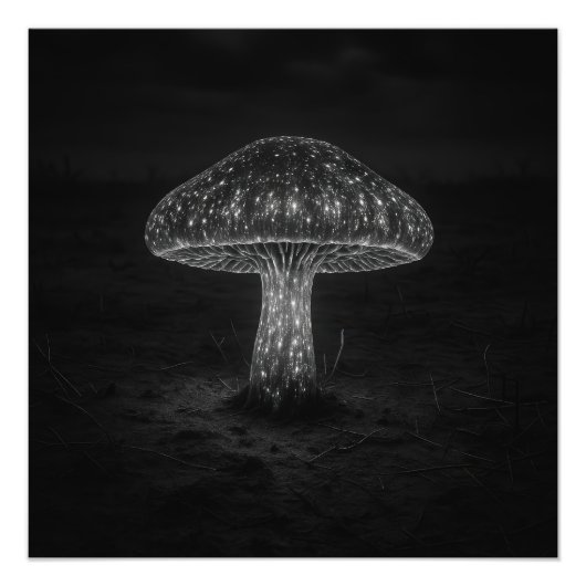 キノコの光 - 写真プリント フォトプリント (正面)