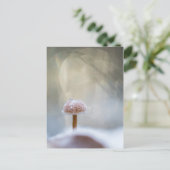 キノコの冬の写真 シーズンポストカード (スタンド正面)