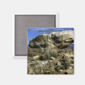 キノコの岩のカラー写真 マグネット (正面/裏面)