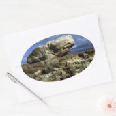 キノコの岩のカラー写真 楕円形シール (封筒)