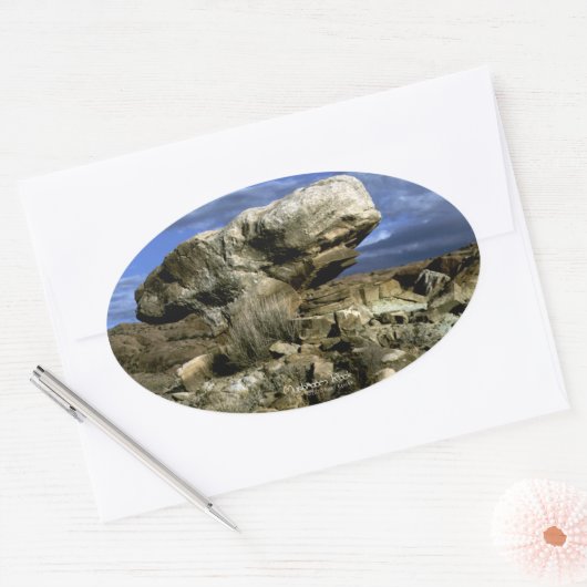 キノコの岩のカラー写真 楕円形シール (封筒)