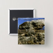 キノコの岩のカラー写真 缶バッジ (正面&裏面)