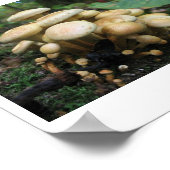 キノコの散乱 ポスター (角)