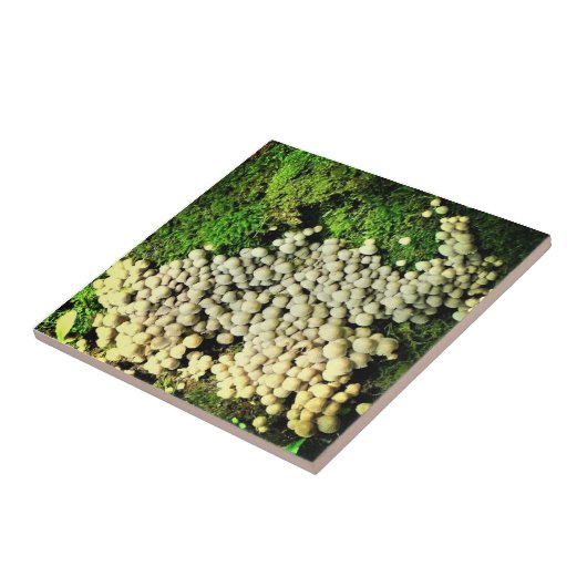 キノコの村 タイル (側面)