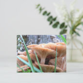 キノコの森のカード ポストカード (スタンド正面)