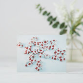 キノコの男性 ポストカード (スタンド正面)