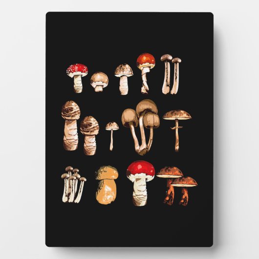 キノコの選択ライフ フォトプラーク (正面)