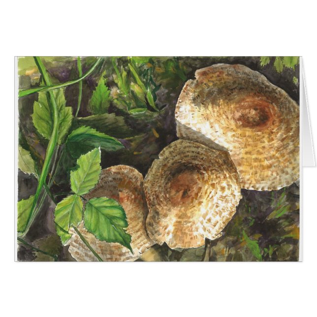 キノコは常に目に魅力的 (正面横)