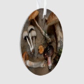 キノコは菌類を愛する オーナメント (正面)