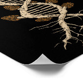 キノコを採集するモレルキノコのハンターギフト菌 ポスター (角)