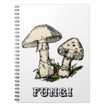 キノコイラストレーション