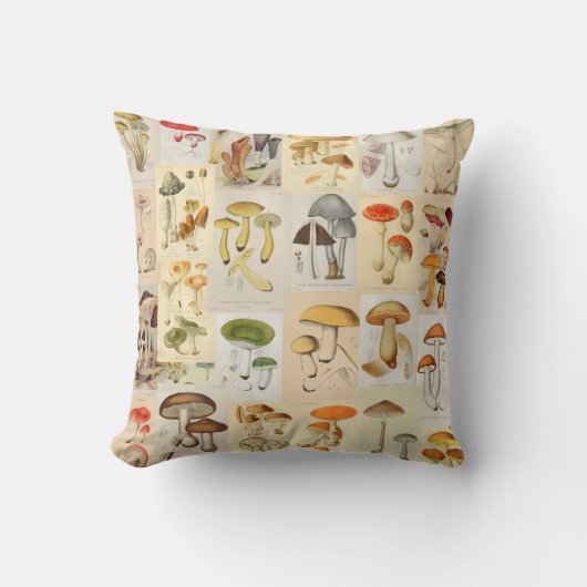 キノココラージュヴィンテージイラストレーション植物学 クッション (正面)