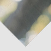 キノコティッシュペーパー 薄葉紙 (詳細)