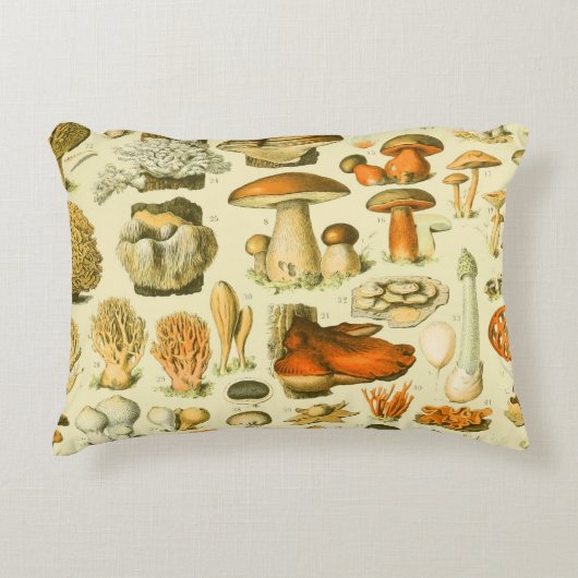 キノコヴィンテージ接種アンティークイラストレーション アクセントクッション (正面)