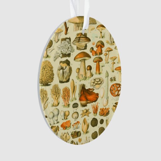 キノコヴィンテージ接種アンティークイラストレーション オーナメント (正面)
