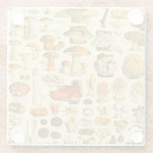 キノコヴィンテージ接種アンティークイラストレーション ガラスコースター (裏面)