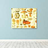 キノコヴィンテージ接種アンティークイラストレーション キャンバスプリント (インサイチュ (ウッドフロア))