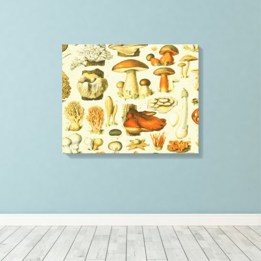 キノコヴィンテージ接種アンティークイラストレーション キャンバスプリント (インサイチュ (ウッドフロア))