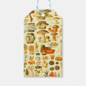 キノコヴィンテージ接種アンティークイラストレーション ギフトタグ (正面)